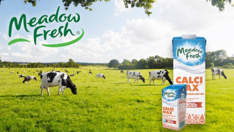 Meadow Fresh Calci Max là sản phẩm sữa thuộc nhãn hàng Meadow Fresh – Úc